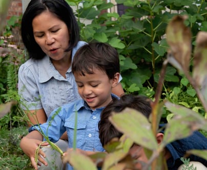 Nicky and her sons harvesting from their front yard garden. 