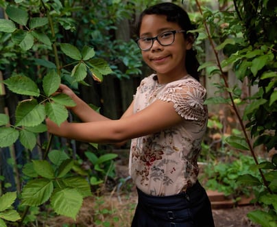 A girl harvesting from the family trellis in the garden. 