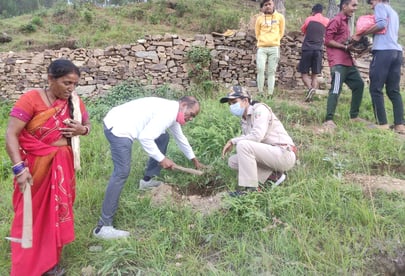 Top 10 tree plantation agency in Uttarakhand
