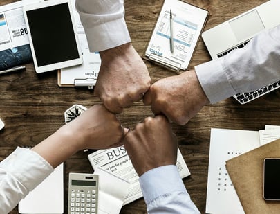 NetSuite rescue projects
