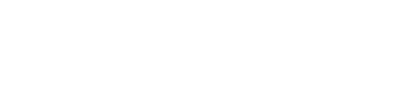 Salah Zeft logo