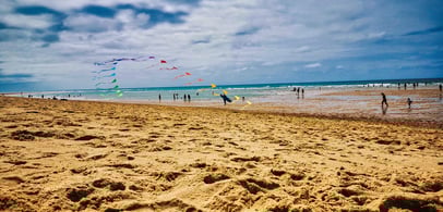 balade dans les landes en famille