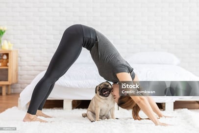 a woman doing yoga poses with a pug dog