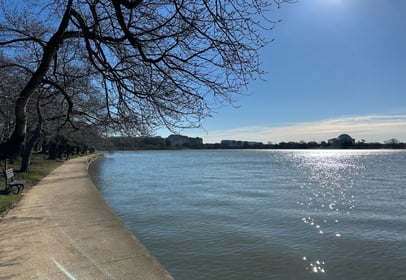 If you cross the Washington DC tidal basin