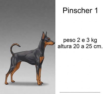 pinscher 1