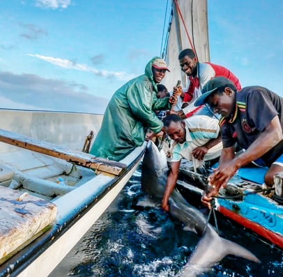 A group of people on a boat with a shark during a Zanzibar fishing charter, exciting Zanzibar 