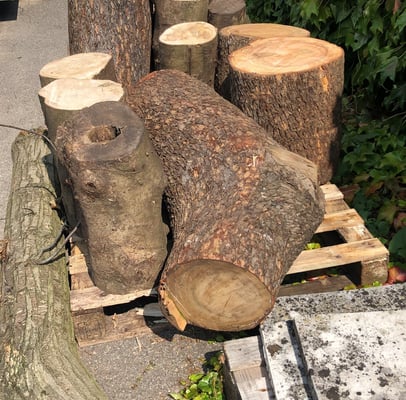 a pile of logs logs stacked on top of each other