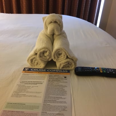 Royal Caribbean Cruise Compass and a towel animal