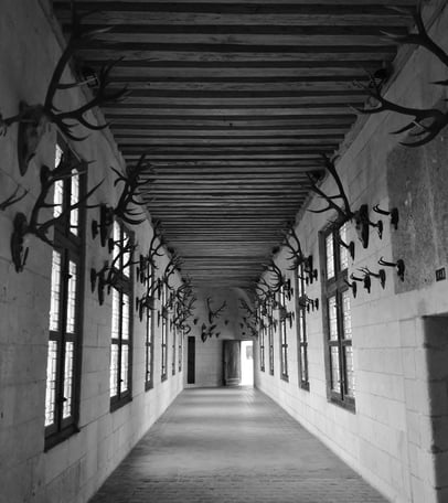 The Quick & The Dead A pun on the noble line of hunting lodges displaying their prowess