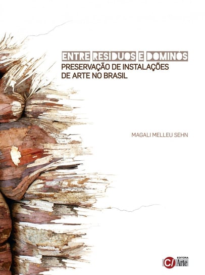 Entre Resíduos e Dominós: Preservação de Instalações de Arte no Brasil