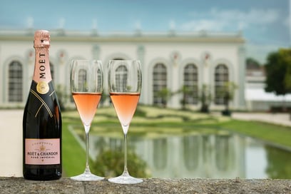 champagne bottle and glasses of rosé in wine domain