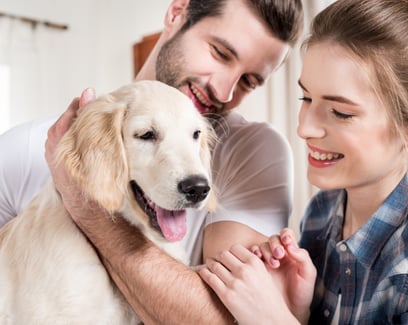dog love