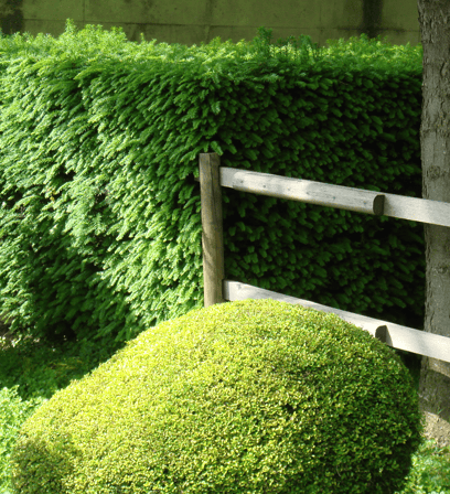 Landscaping