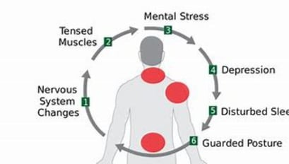 The system responsible for pain