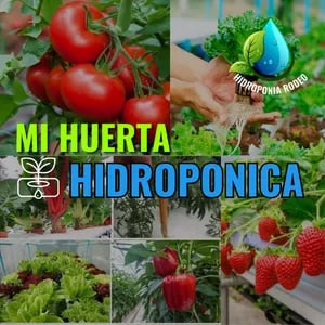 Aprende Huerta Hidroponica
