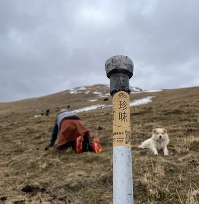 “JanNutra-branded marker placed in the Tibetan highlands, symbolizing the authenticity