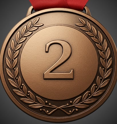 Bronze Medal with Two Times Per Month Home Watch Service