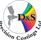 A logo for D&S Precision Coatings Ltd