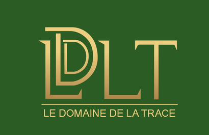 Domaine de la trace logo