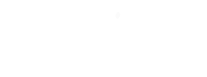 Magyar Tükör logo
