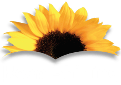 keepshining logo