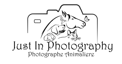 Just In Photography logo