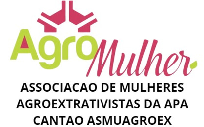 ASSOCIAÇÃO DOS PEQUENOS PRODUTORES DO ASSENTAMENTO OURO VERDE logo