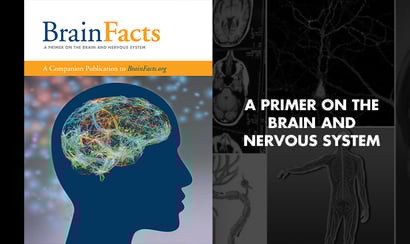 Image of Brain Facts
