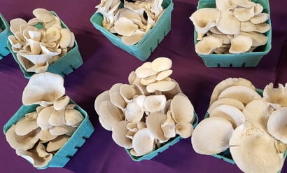 Kansas City Mushroom Company offers their fresh, locally grown mushrooms at farmers markets.
