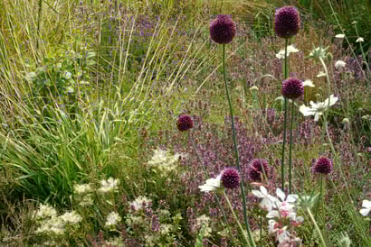 Massif fleuri naturel dans un jardin paysager