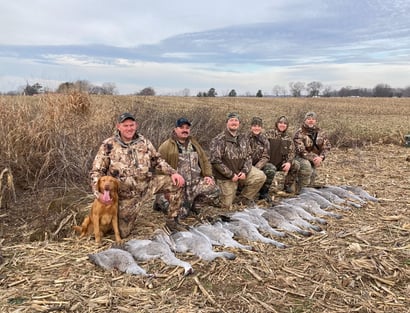 sandhill crane hunting guide