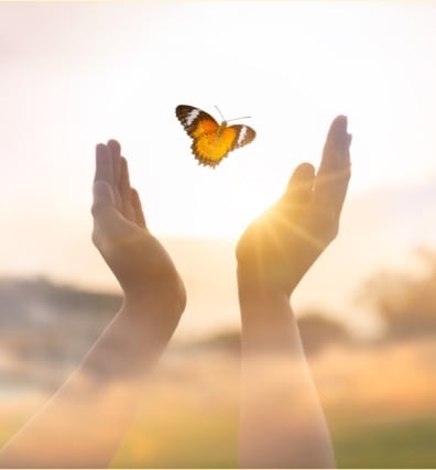 puissance de vie un papillon dans la lumière entouré de mains ouvertes 