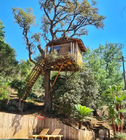 cabane dans les arbres au desus d'une piscine