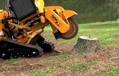 stump removal services