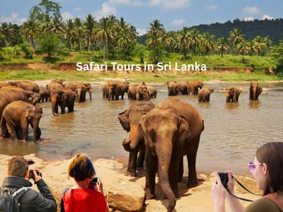 Wildlife Safari at Yala Sri Lanka