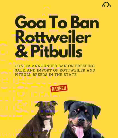Goa Ban Rottweiler and Pitbull breeds