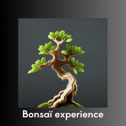 BonsaiExpérience logo