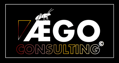 AEGO Consulting  logo