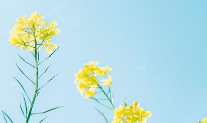 expérience assistante administrative confiance rigueur déléguer