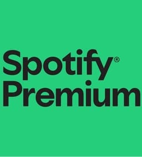 spotify ideias de prendas, presentes, aniversário, tecnológicas, originais, para Homem, para Mulher, Criança, Pai, Mãe, namor