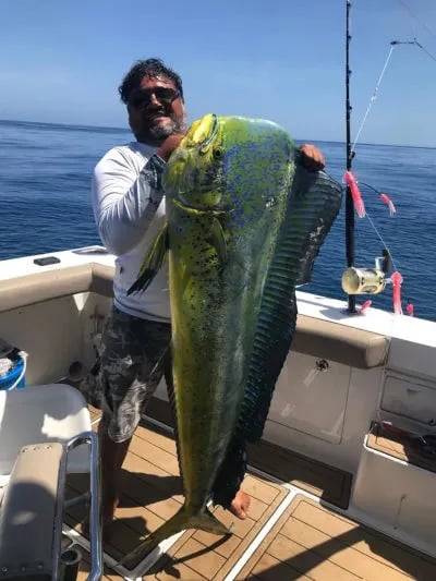 yate de pesca deportiva cabo express 45 dorado fish