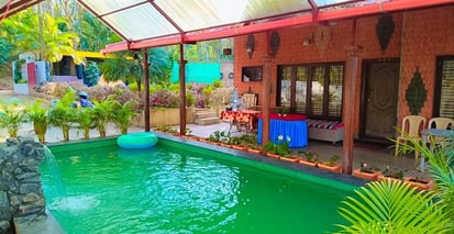 silver shade homestsy