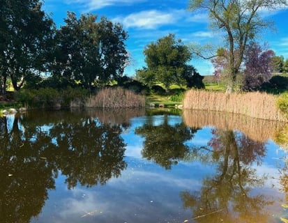 Elegant Los Olivos property with mountain views – second home and vacation mortgage solutions
