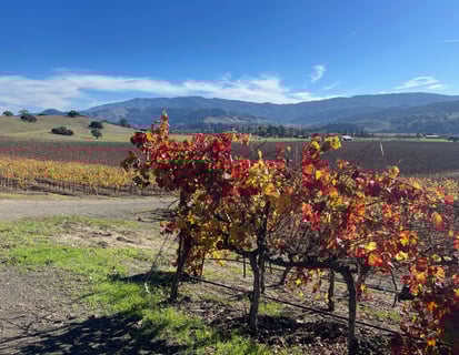 Solvang real estate and mortgage services – Black Oak Homes