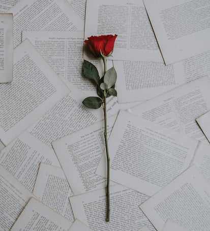 Rose on top of printed sheets of paper.