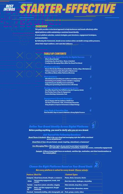 Front cover of Starter Effective Guideline on how to utilize digital platforms and digital identity