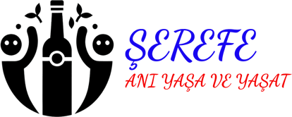PREMİUM ALKOL TÜRKİYE logo