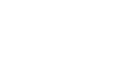 Bridgespot logo