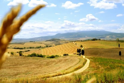 Caminho de Val D’Orcia: de San Quirico a Pienza