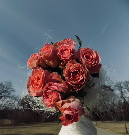 Buchet de trandafiri roz-somon, fotografiat în aer liber pe fundal de cer senin și copaci de iarnă.